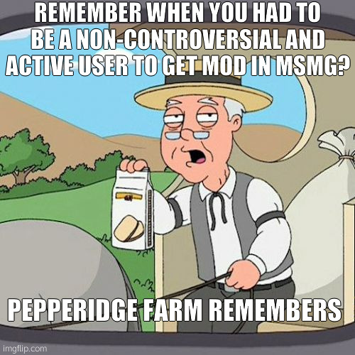 Pepperidge Farm Remembers | REMEMBER WHEN YOU HAD TO BE A NON-CONTROVERSIAL AND ACTIVE USER TO GET MOD IN MSMG? PEPPERIDGE FARM REMEMBERS | image tagged in memes,pepperidge farm remembers | made w/ Imgflip meme maker