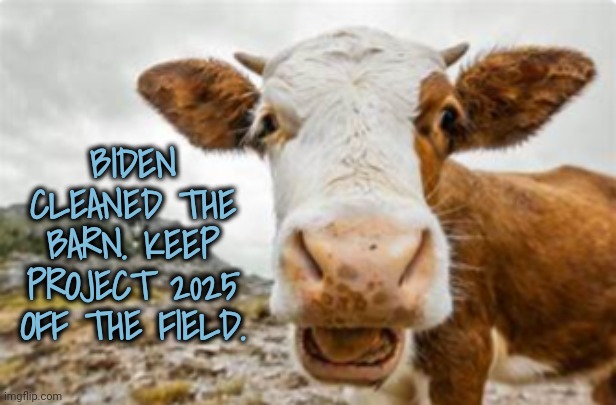 Cow Speaks Truth | BIDEN CLEANED THE BARN. KEEP PROJECT 2025 OFF THE FIELD. | image tagged in rural america,dairy,project 2025,dnc | made w/ Imgflip meme maker