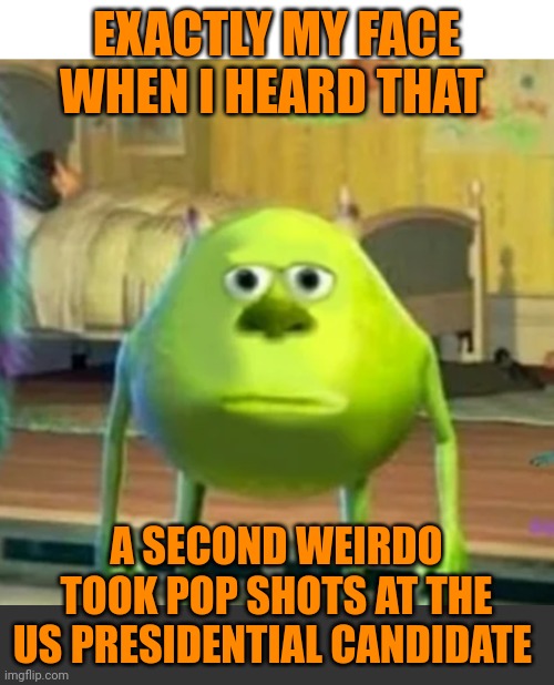 Funny | EXACTLY MY FACE WHEN I HEARD THAT; A SECOND WEIRDO TOOK POP SHOTS AT THE US PRESIDENTIAL CANDIDATE | image tagged in funny,shooter,president trump,assassin,not funny,political | made w/ Imgflip meme maker