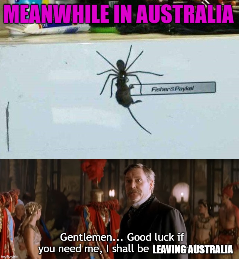 Big spiders | MEANWHILE IN AUSTRALIA; LEAVING AUSTRALIA | image tagged in gentlemen good luck if you need me i shall be in australia | made w/ Imgflip meme maker