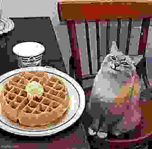 Wafle | image tagged in cat likes their waffle | made w/ Imgflip meme maker