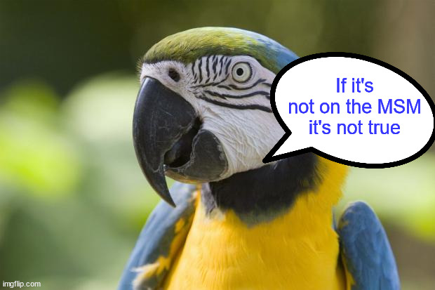 parrot | If it's not on the MSM it's not true | image tagged in parrot | made w/ Imgflip meme maker
