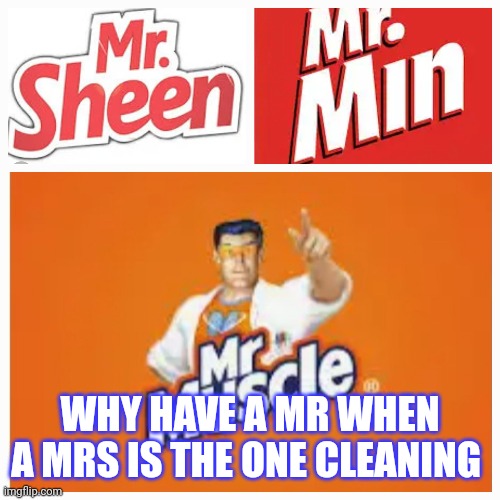 WHY HAVE A MR WHEN A MRS IS THE ONE CLEANING | image tagged in mr clean | made w/ Imgflip meme maker