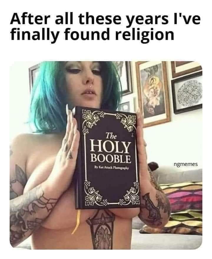 The Holly Booble Book Blank Meme Template