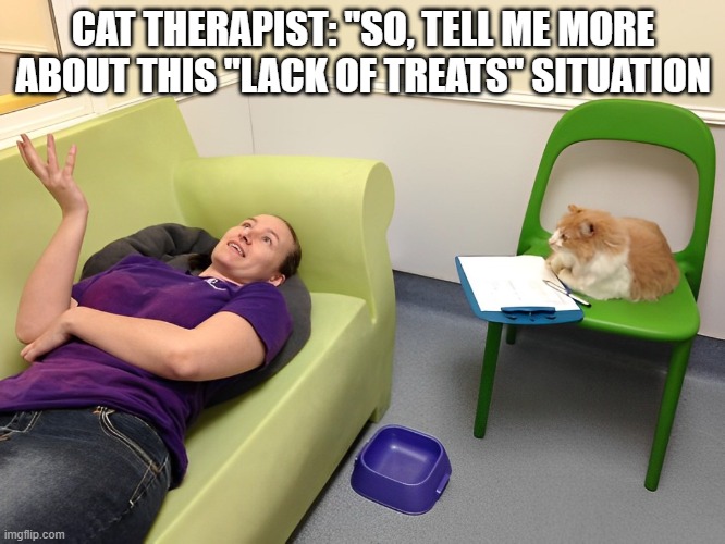 lack of treats | CAT THERAPIST: "SO, TELL ME MORE ABOUT THIS "LACK OF TREATS" SITUATION | image tagged in memes | made w/ Imgflip meme maker