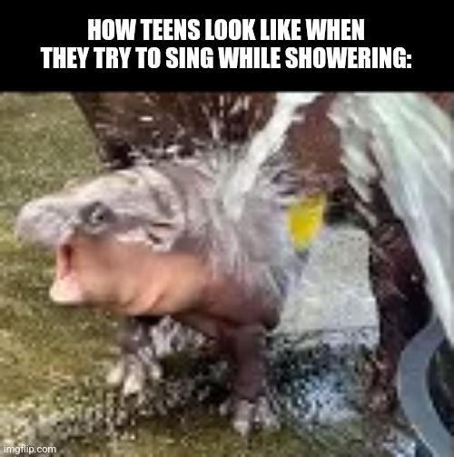 HOW TEENS LOOK LIKE WHEN THEY TRY TO SING WHILE SHOWERING: | image tagged in memes,hippo,shower | made w/ Imgflip meme maker