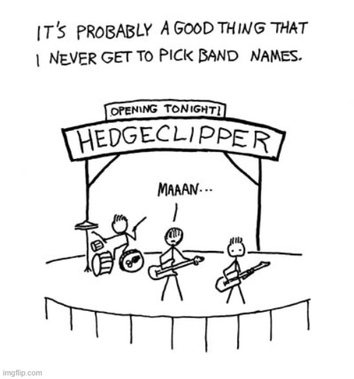 "You can just see his dejection as he realizes he's the lead guitar in 'Hedgeclipper'." | image tagged in band,name,hedge,clipper,hedgeclipper | made w/ Imgflip meme maker