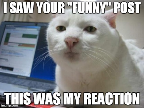 serious cat | I SAW YOUR "FUNNY" POST THIS WAS MY REACTION | image tagged in serious cat | made w/ Imgflip meme maker