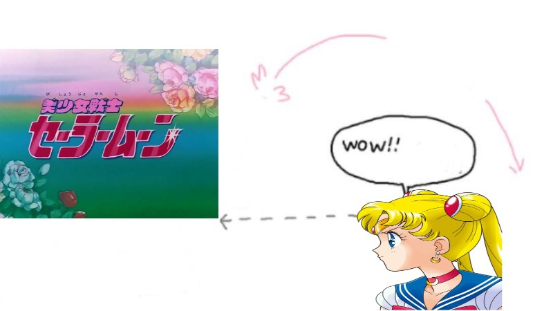 Wow cool sailor moon Blank Meme Template