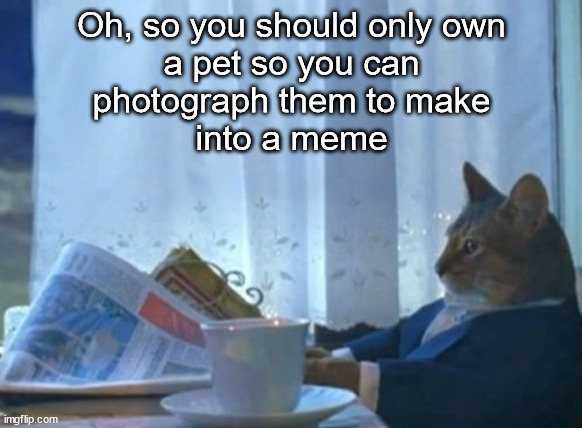 The only reason for pets | Oh, so you should only own
a pet so you can
photograph them to make
into a meme | image tagged in memes,i should buy a boat cat,turn into meme,pet,reason | made w/ Imgflip meme maker