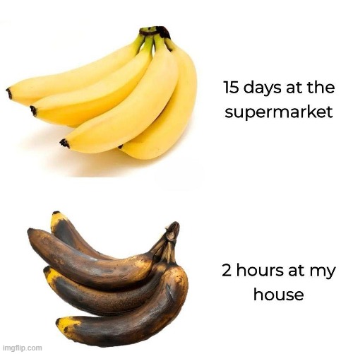 image tagged in bananas,supermarket,grocery store,house | made w/ Imgflip meme maker