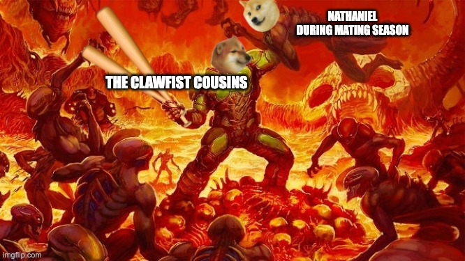 Doomed to Horny Jail | NATHANIEL DURING MATING SEASON; THE CLAWFIST COUSINS | image tagged in doomed to horny jail | made w/ Imgflip meme maker