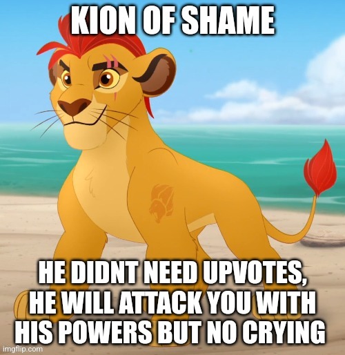 Kion of shame | image tagged in kion of shame | made w/ Imgflip meme maker