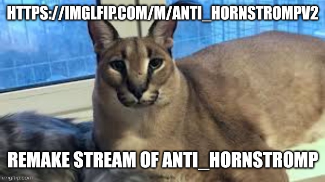 Floppa | HTTPS://IMGLFIP.COM/M/ANTI_HORNSTROMPV2; REMAKE STREAM OF ANTI_HORNSTROMP | image tagged in floppa,gametoons | made w/ Imgflip meme maker