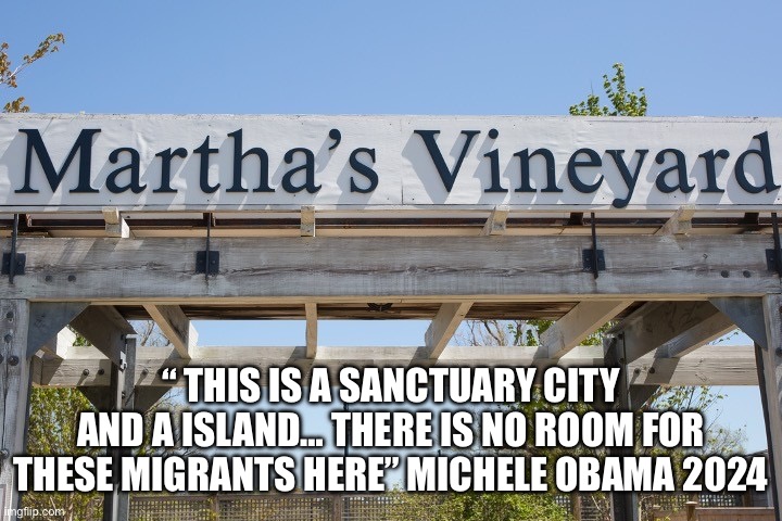 Michelle Speaks truth | “ THIS IS A SANCTUARY CITY AND A ISLAND… THERE IS NO ROOM FOR THESE MIGRANTS HERE” MICHELE OBAMA 2024 | image tagged in martha's vineyard sign,funny memes,memes,funny,gifs | made w/ Imgflip meme maker