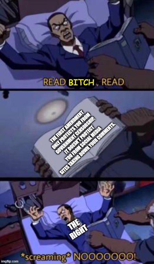 BITCH | image tagged in free speech,freedom of speech | made w/ Imgflip meme maker