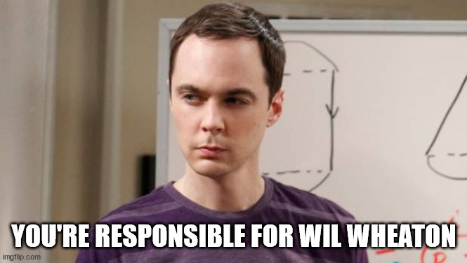 Angry Sheldon Cooper | YOU'RE RESPONSIBLE FOR WIL WHEATON | image tagged in angry sheldon cooper | made w/ Imgflip meme maker