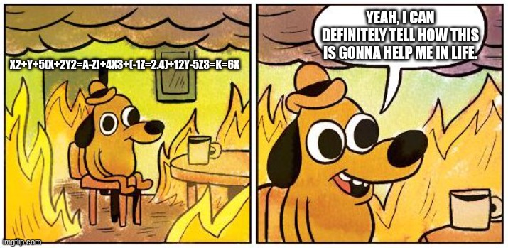 school, u got smoke explaining to do. | YEAH, I CAN DEFINITELY TELL HOW THIS IS GONNA HELP ME IN LIFE. X2+Y+5(X+2Y2=A-Z)+4X3+(-1Z=2.4)+12Y-5Z3=K=6X | image tagged in this is fine blank,school | made w/ Imgflip meme maker