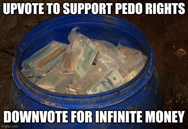 Money in bucket | UPVOTE TO SUPPORT PEDO RIGHTS DOWNVOTE FOR INFINITE MONEY | image tagged in money in bucket | made w/ Imgflip meme maker