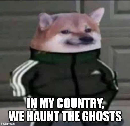 Slav doge | IN MY COUNTRY, WE HAUNT THE GHOSTS | image tagged in slav doge | made w/ Imgflip meme maker