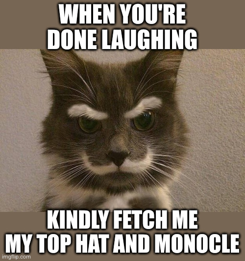 Villain Cat | WHEN YOU'RE DONE LAUGHING; KINDLY FETCH ME MY TOP HAT AND MONOCLE | image tagged in villain cat | made w/ Imgflip meme maker