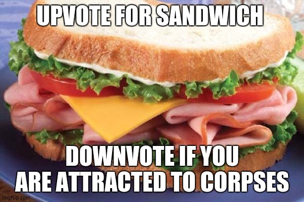 Sandwich | UPVOTE FOR SANDWICH; DOWNVOTE IF YOU ARE ATTRACTED TO CORPSES | image tagged in sandwich | made w/ Imgflip meme maker