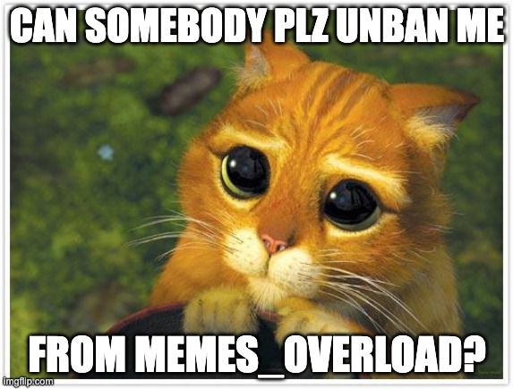 Shrek Cat | CAN SOMEBODY PLZ UNBAN ME; FROM MEMES_OVERLOAD? | image tagged in memes,shrek cat,funny,memes_overload,plz,please | made w/ Imgflip meme maker