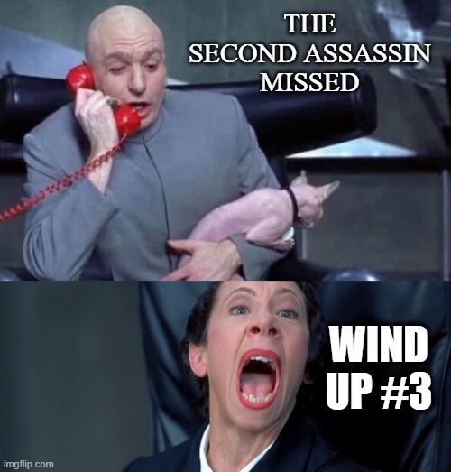 Wind up #3 | THE SECOND ASSASSIN MISSED; WIND UP #3 | image tagged in dr evil and frau | made w/ Imgflip meme maker