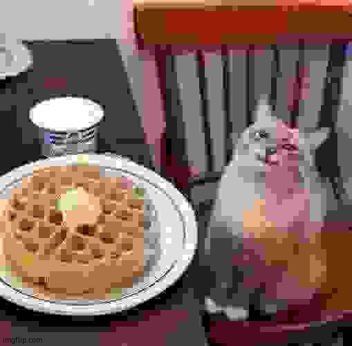 Wafle | image tagged in cat likes their waffle | made w/ Imgflip meme maker