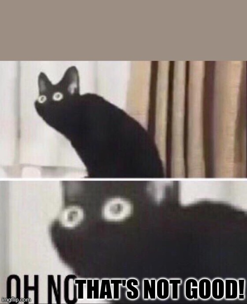 Oh no cat | THAT'S NOT GOOD! | image tagged in oh no cat | made w/ Imgflip meme maker