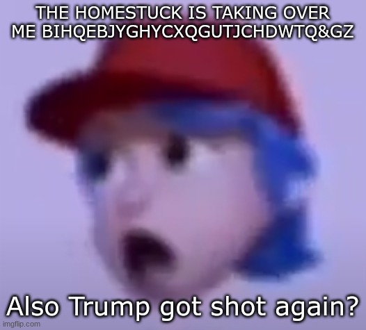 what the silly billy | THE HOMESTUCK IS TAKING OVER ME BIHQEBJYGHYCXQGUTJCHDWTQ&GZ; Also Trump got shot again? | image tagged in what the silly billy | made w/ Imgflip meme maker