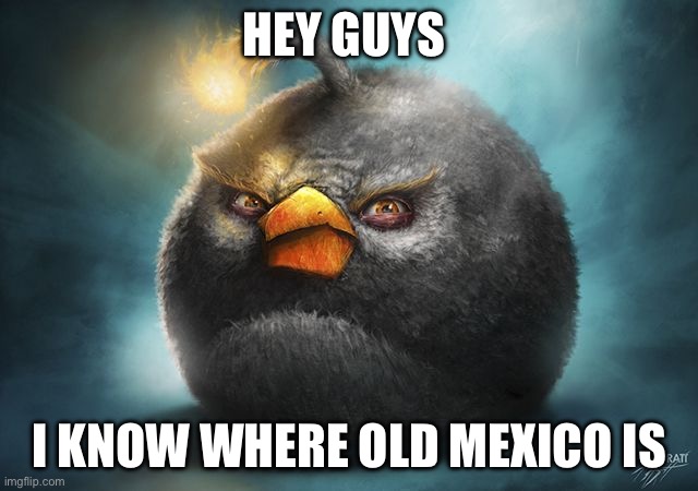 angry birds bomb | HEY GUYS I KNOW WHERE OLD MEXICO IS | image tagged in angry birds bomb | made w/ Imgflip meme maker