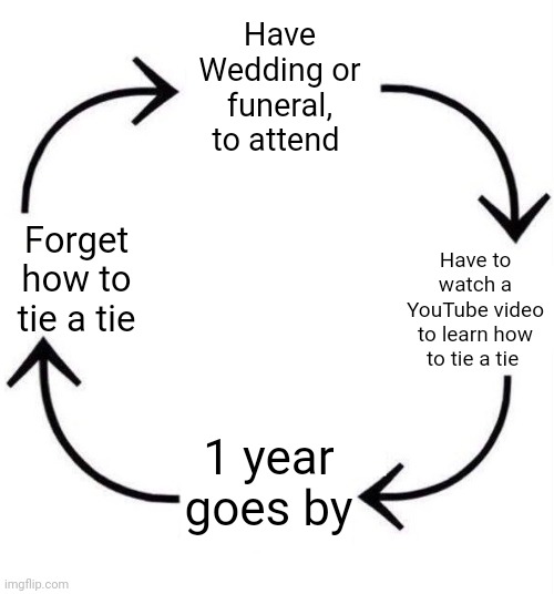 The struggle is real | Have Wedding or funeral, to attend; Have to watch a YouTube video to learn how to tie a tie; Forget how to tie a tie; 1 year goes by | image tagged in the circle of life | made w/ Imgflip meme maker