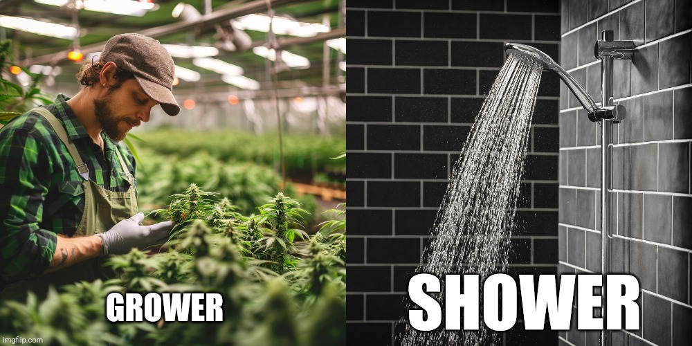 I'm not sure that I *grasp* the concept... | GROWER; SHOWER | image tagged in silly,dirty,weed,penis jokes | made w/ Imgflip meme maker
