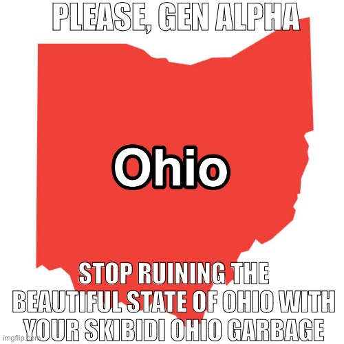 Gen Alpha should stop with the Skibidi Ohio garbage | PLEASE, GEN ALPHA; STOP RUINING THE BEAUTIFUL STATE OF OHIO WITH YOUR SKIBIDI OHIO GARBAGE | image tagged in ohio the state | made w/ Imgflip meme maker