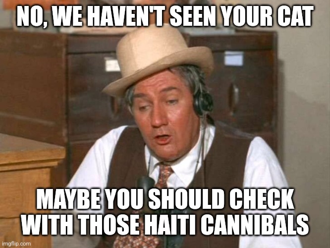 Mister Haney | NO, WE HAVEN'T SEEN YOUR CAT; MAYBE YOU SHOULD CHECK WITH THOSE HAITI CANNIBALS | image tagged in mister haney | made w/ Imgflip meme maker