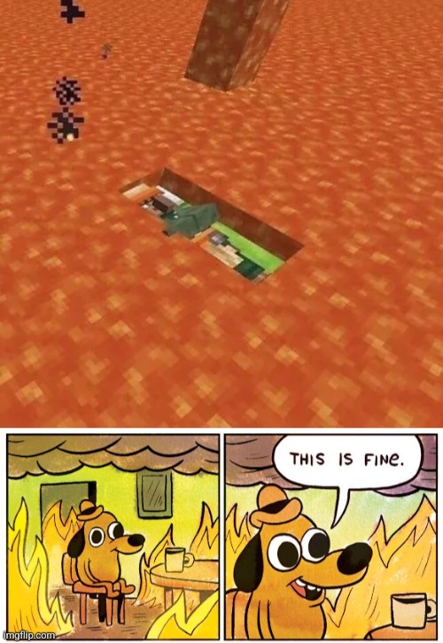 image tagged in memes,this is fine | made w/ Imgflip meme maker