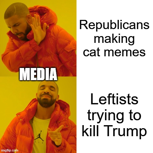 Drake Hotline Bling | Republicans making cat memes; MEDIA; Leftists trying to kill Trump | image tagged in memes,drake hotline bling | made w/ Imgflip meme maker