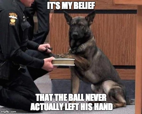 IT'S MY BELIEF THAT THE BALL NEVER ACTUALLY LEFT HIS HAND | image tagged in determined dog,AdviceAnimals | made w/ Imgflip meme maker