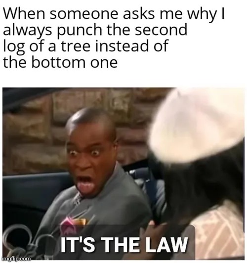 IT'S THE LAW | image tagged in tree | made w/ Imgflip meme maker