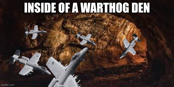 warthog den | INSIDE OF A WARTHOG DEN | image tagged in funny | made w/ Imgflip meme maker