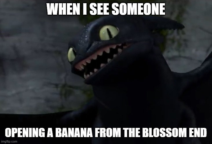 Scared Toothless (HTTYD) | WHEN I SEE SOMEONE; OPENING A BANANA FROM THE BLOSSOM END | image tagged in scared toothless httyd | made w/ Imgflip meme maker