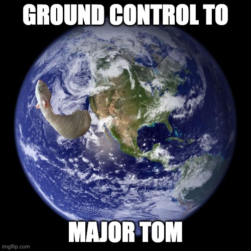 renis' death yay! | GROUND CONTROL TO; MAJOR TOM | image tagged in earth | made w/ Imgflip meme maker