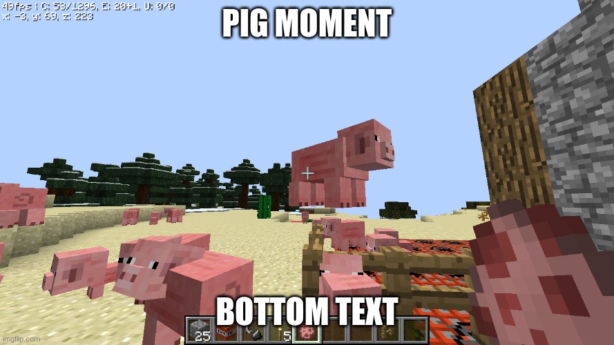 pig | PIG MOMENT; BOTTOM TEXT | image tagged in pig | made w/ Imgflip meme maker