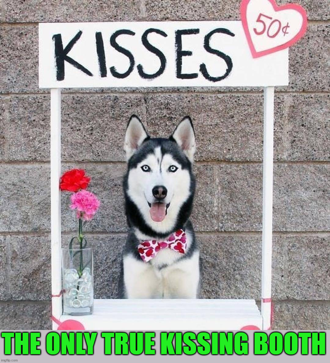 Kissing booth | THE ONLY TRUE KISSING BOOTH | image tagged in wholesome | made w/ Imgflip meme maker