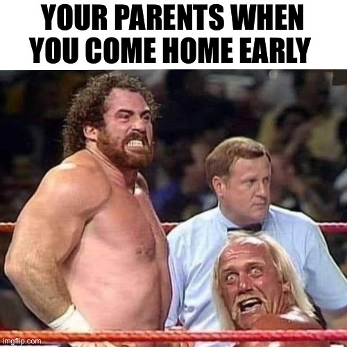 YOUR PARENTS WHEN YOU COME HOME EARLY | image tagged in family,parents,sex,funny | made w/ Imgflip meme maker