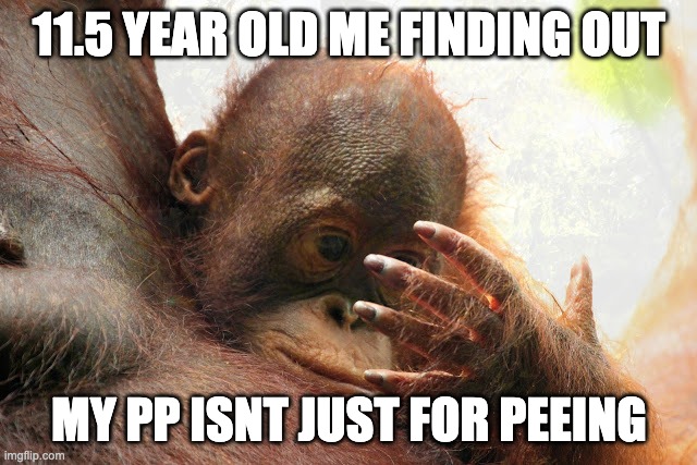 orangutan baby ponders hand | 11.5 YEAR OLD ME FINDING OUT; MY PP ISNT JUST FOR PEEING | image tagged in orangutan baby ponders hand,memes,funny,relatable,wtf,oh wow are you actually reading these tags | made w/ Imgflip meme maker