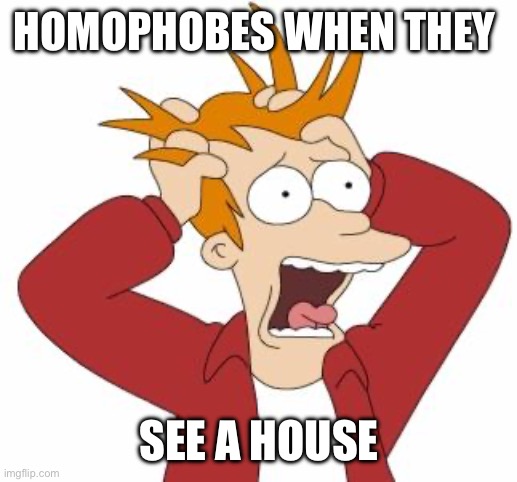 Fry Freaking Out | HOMOPHOBES WHEN THEY; SEE A HOUSE | image tagged in fry freaking out | made w/ Imgflip meme maker