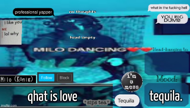 BDBS Temp 4 | tequila. qhat is love | image tagged in bdbs temp 4 | made w/ Imgflip meme maker