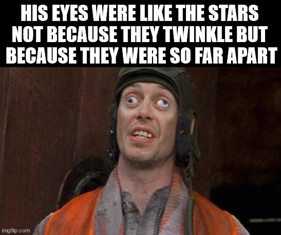 Insulting | HIS EYES WERE LIKE THE STARS 
NOT BECAUSE THEY TWINKLE BUT 
BECAUSE THEY WERE SO FAR APART | image tagged in looks good to me | made w/ Imgflip meme maker